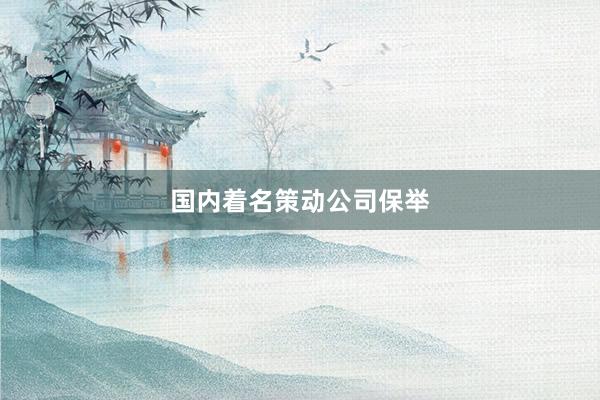 国内着名策动公司保举