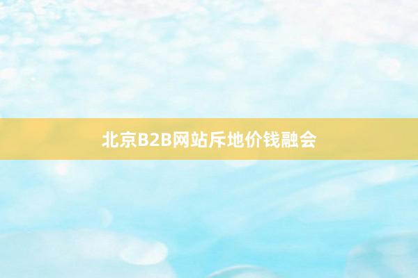 北京B2B网站斥地价钱融会
