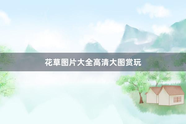 花草图片大全高清大图赏玩